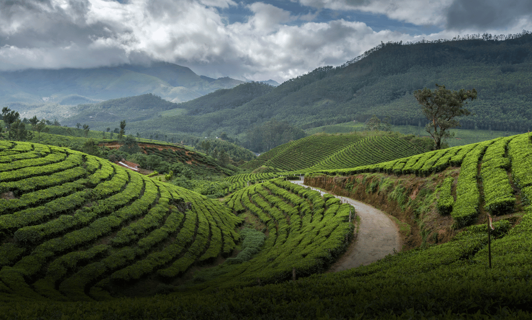 Darjeeling