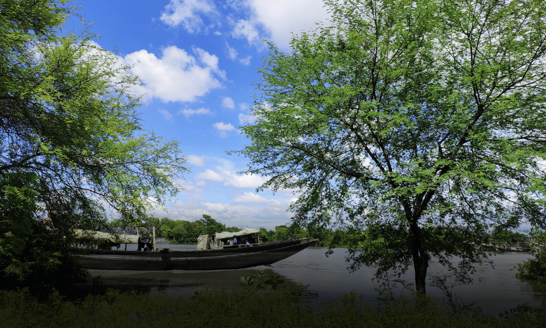 Sundarbans